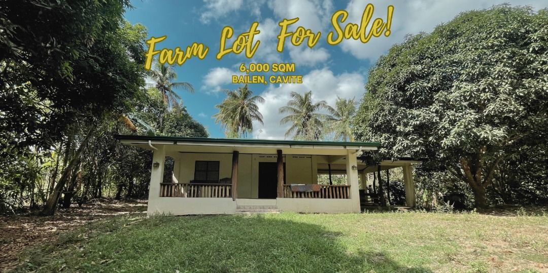 Farm Lot Bailen, Cavite 6,000 sqm, Property, For Sale, Lot on Carousell