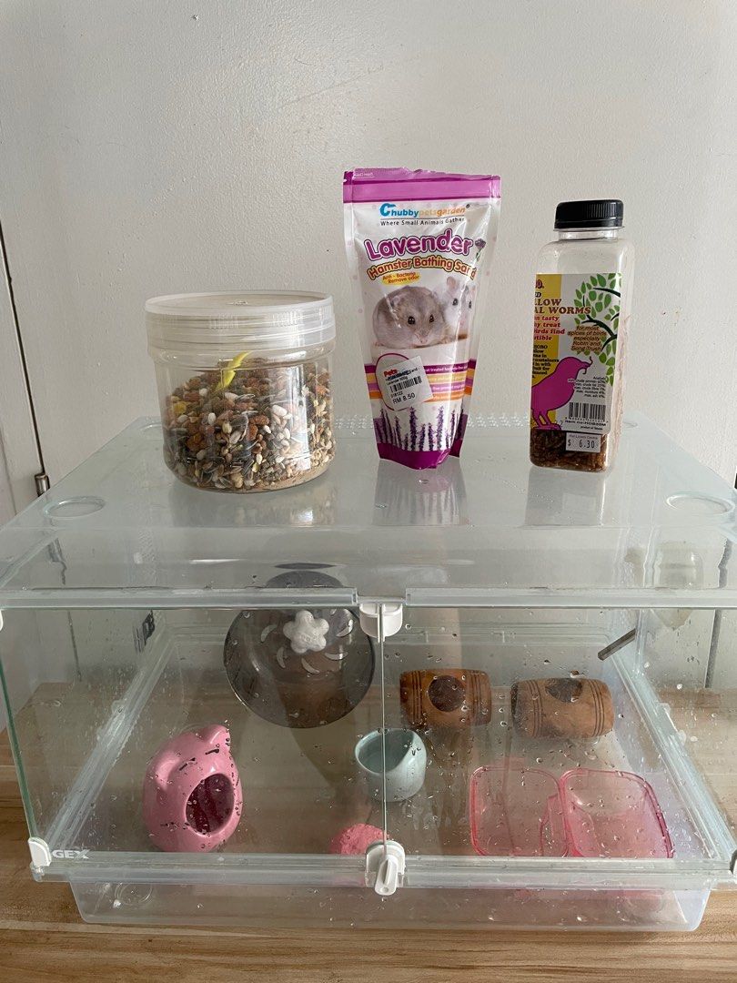 Image showcasing glass hamster cages