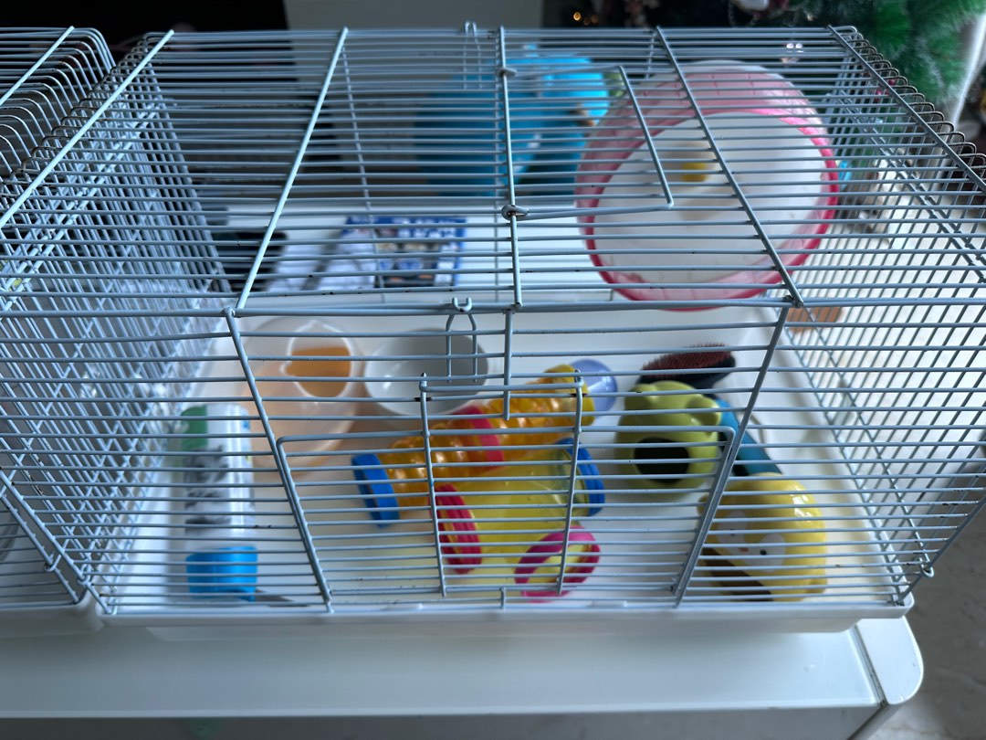 Hamster shop cage tray