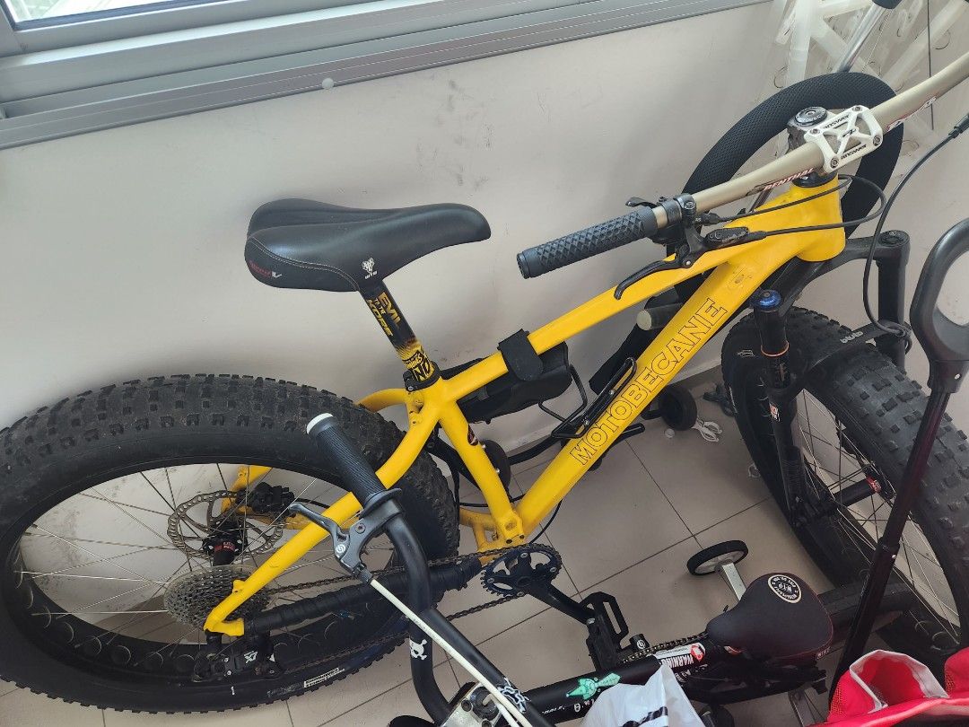 motobecane titanium fat bike