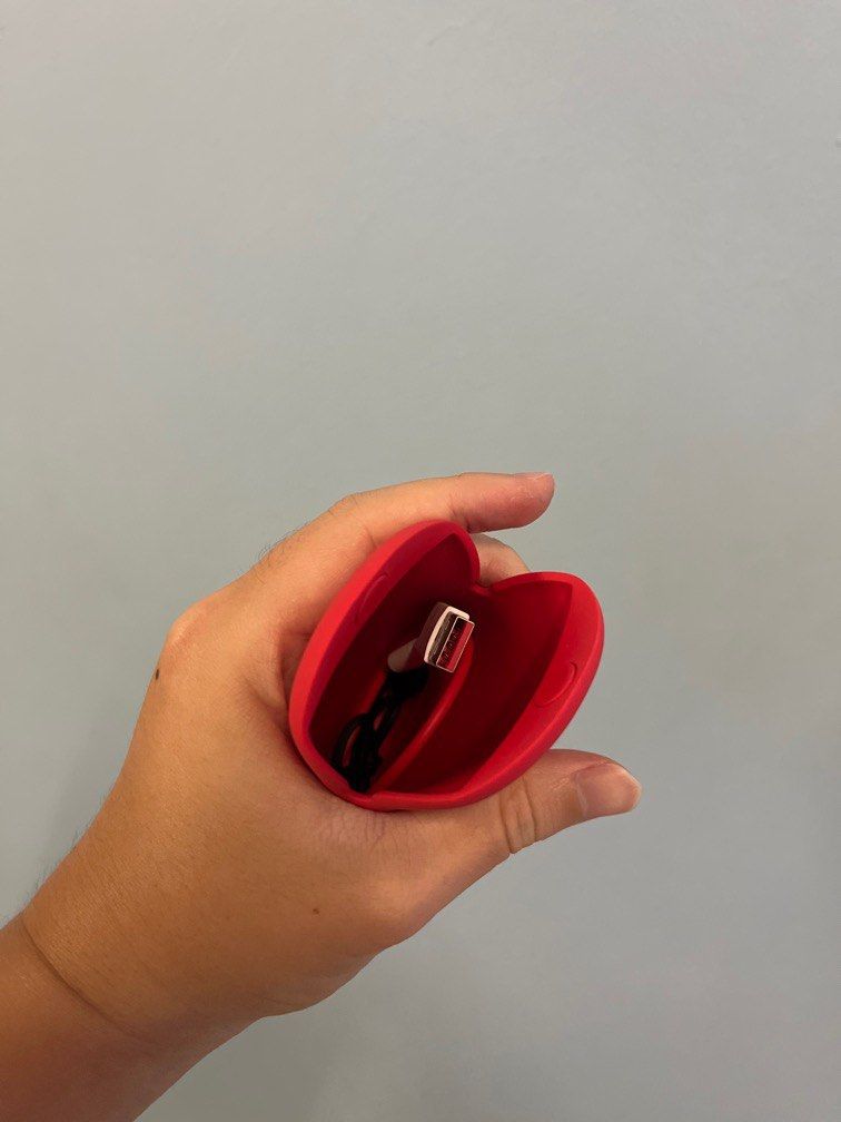Oneplus earbuds pouch on sale