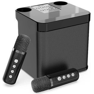 Portable Dual Karaoke