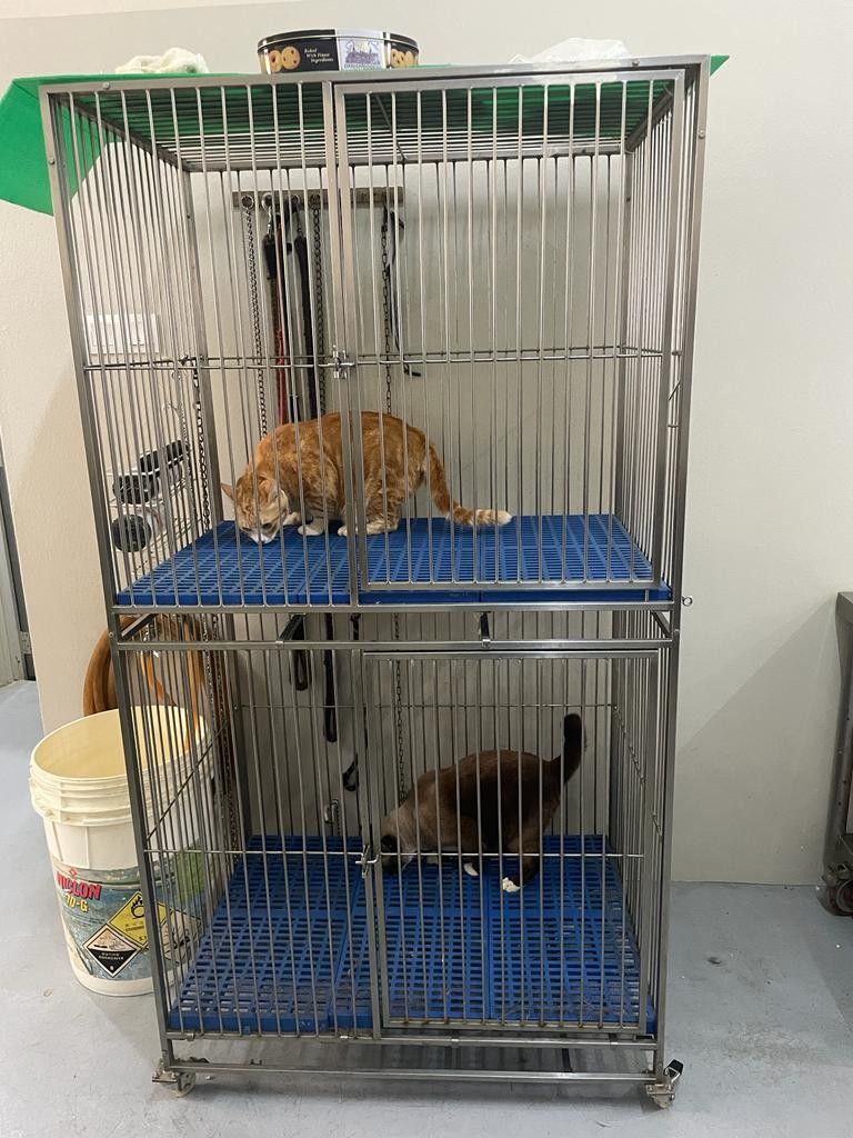 Stainless steel cat cage online