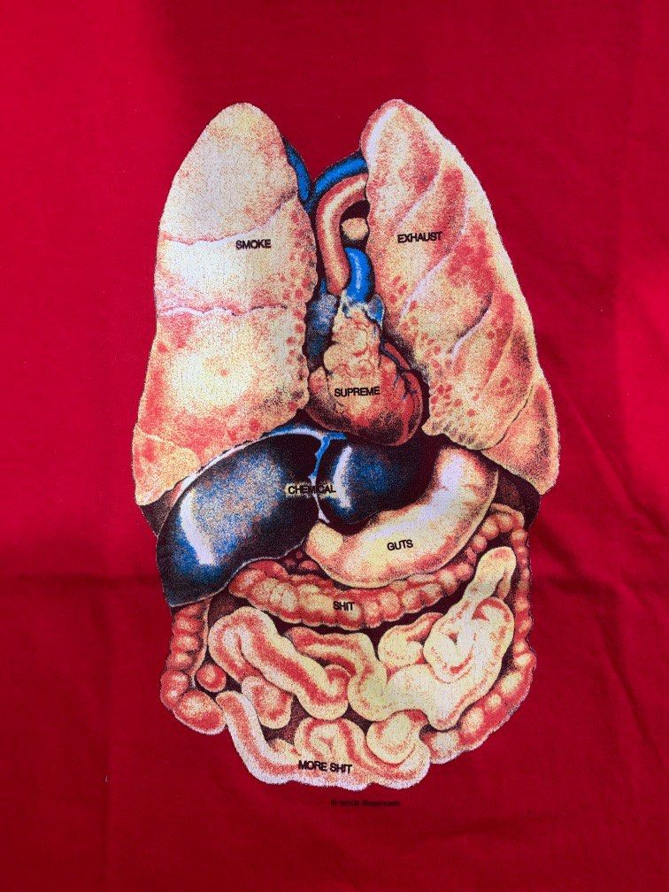 Supreme 2024 organs tee