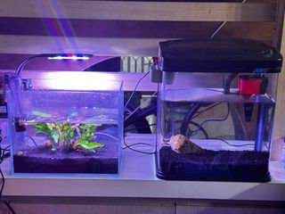 (Category: ) located in . Submitted by berns03 (Listing ID 1279103808, Image 1). Description: .
