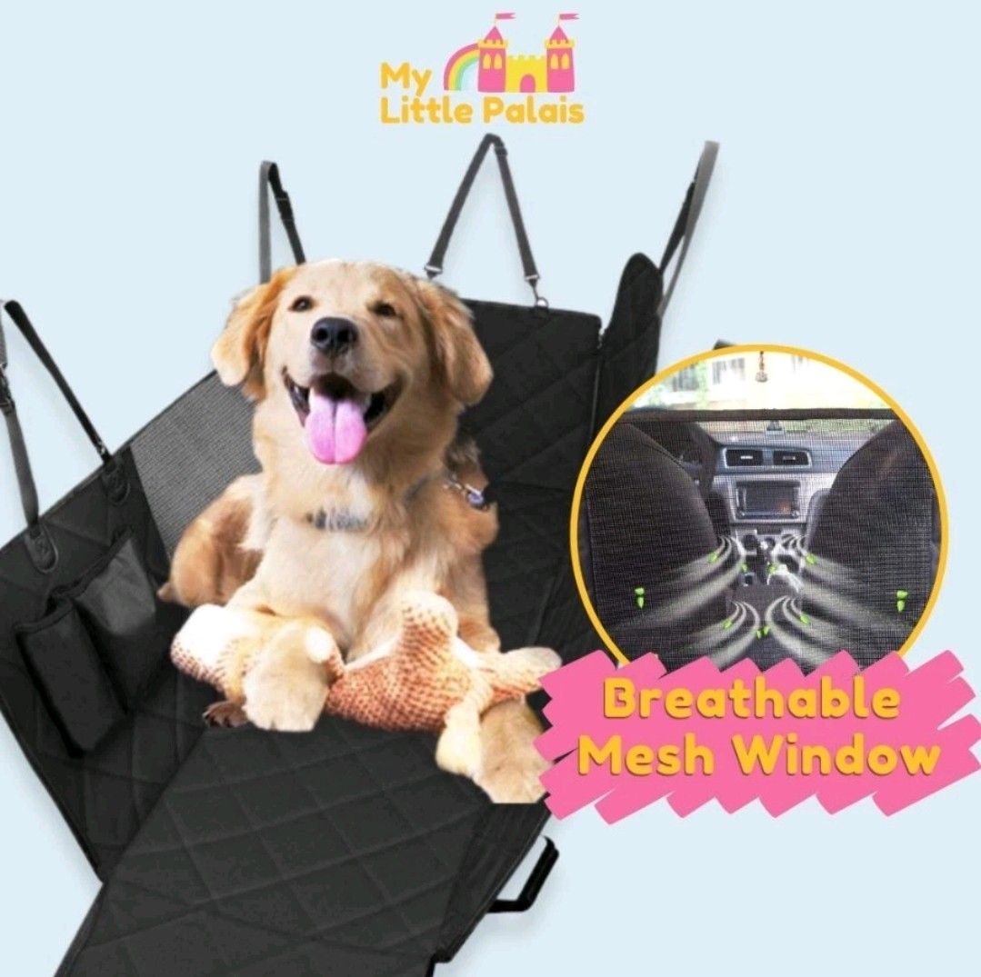 Vehicle top pet accessories
