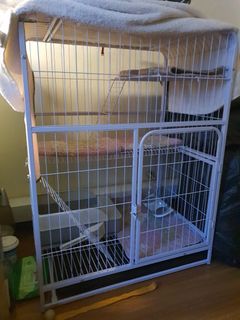 (Category: ) located in . Submitted by felinefreedom (Listing ID 1279373427, Image 1). Description: .