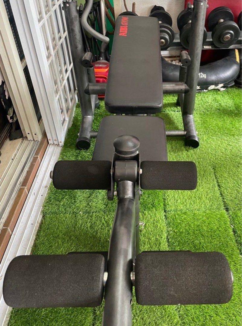 Brutus excel weight bench best sale