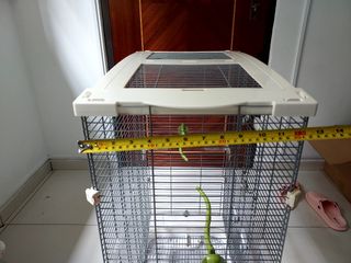 (Category: ) located in . Submitted by shareedolph (Listing ID 1279281139, Image 1). Description: .