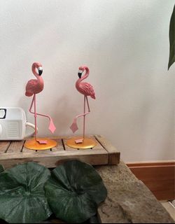 (Category: ) located in . Submitted by 1313dt (Listing ID 1279437842, Image 1). Description: .