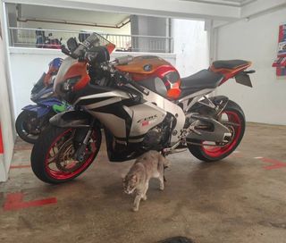 Cbr1000rr olx deals