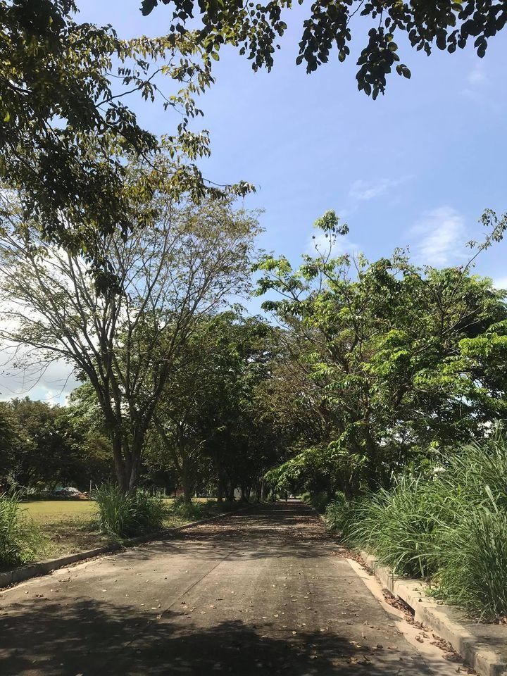 Palma Real Binan Laguna Lot for Sale near CALAX Exit, Property, For