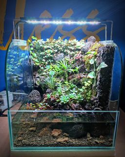 (Category: ) located in . Submitted by Fortune_Green_Design (Listing ID 1279428040, Image 1). Description: .