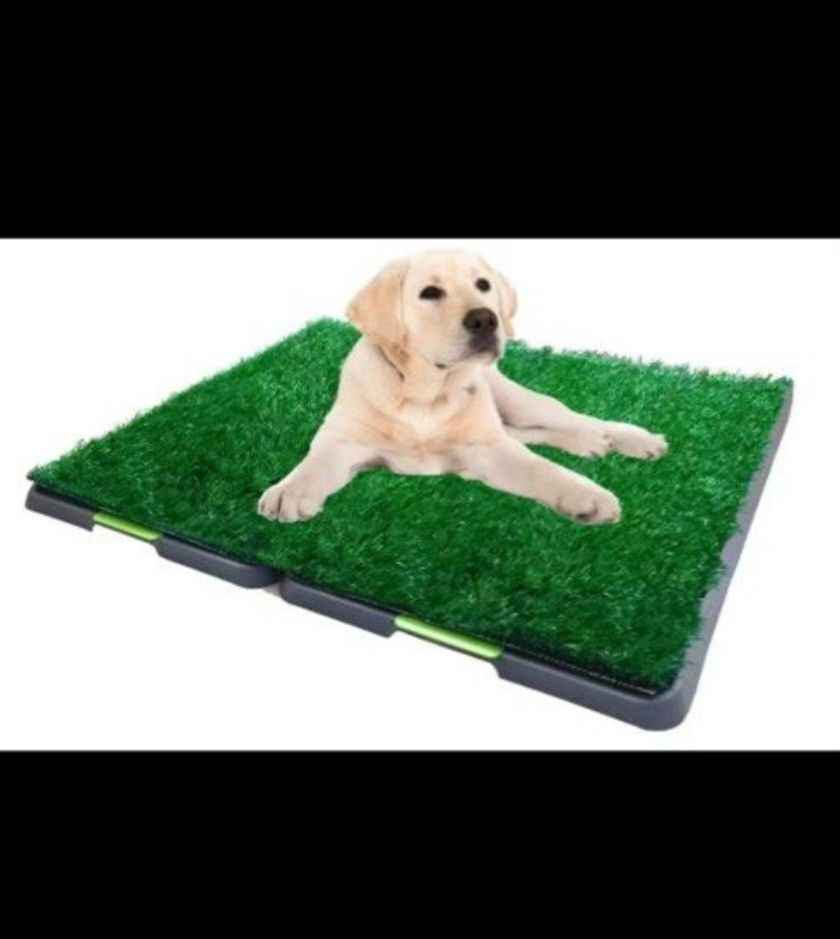 Pet Dog Grass Pee Tray, Pet Supplies, Homes & Other Pet Accessories on