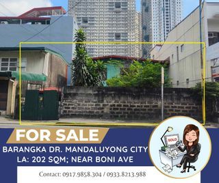 Commercial Lot with Old Structure along Barangka Drive Mandaluyong City FOR SALE