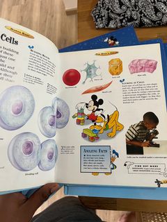 (Category: ) located in . Submitted by mfbks24 (Listing ID 1279509616, Image 1). Description: .