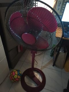 electric fan (dowell)