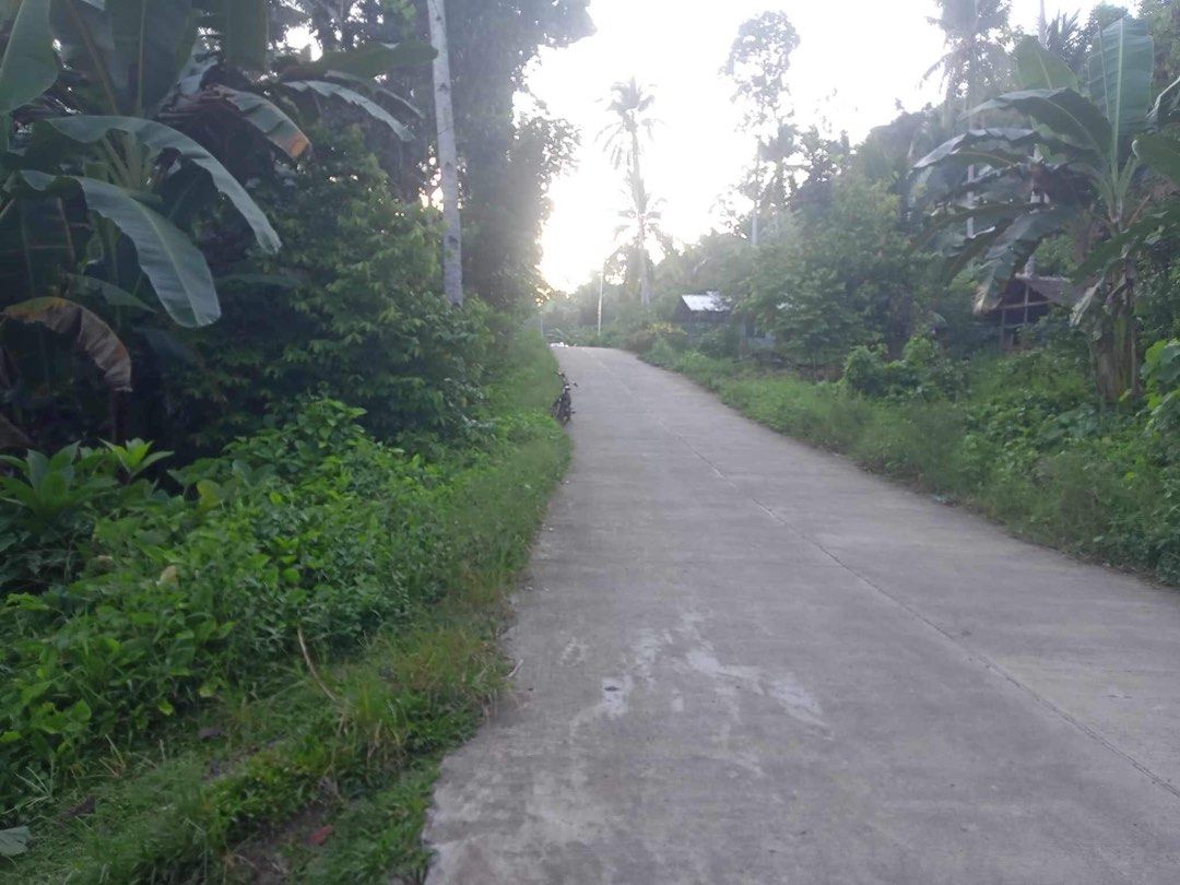 Farm Lot in Agusan Del Norte, Property, For Sale, Lot on Carousell