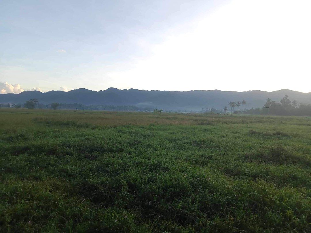 Farm Lot in Agusan Del Norte, Property, For Sale, Lot on Carousell