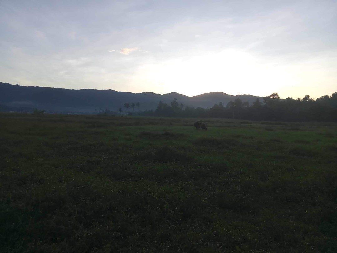 Farm Lot in Agusan Del Norte, Property, For Sale, Lot on Carousell