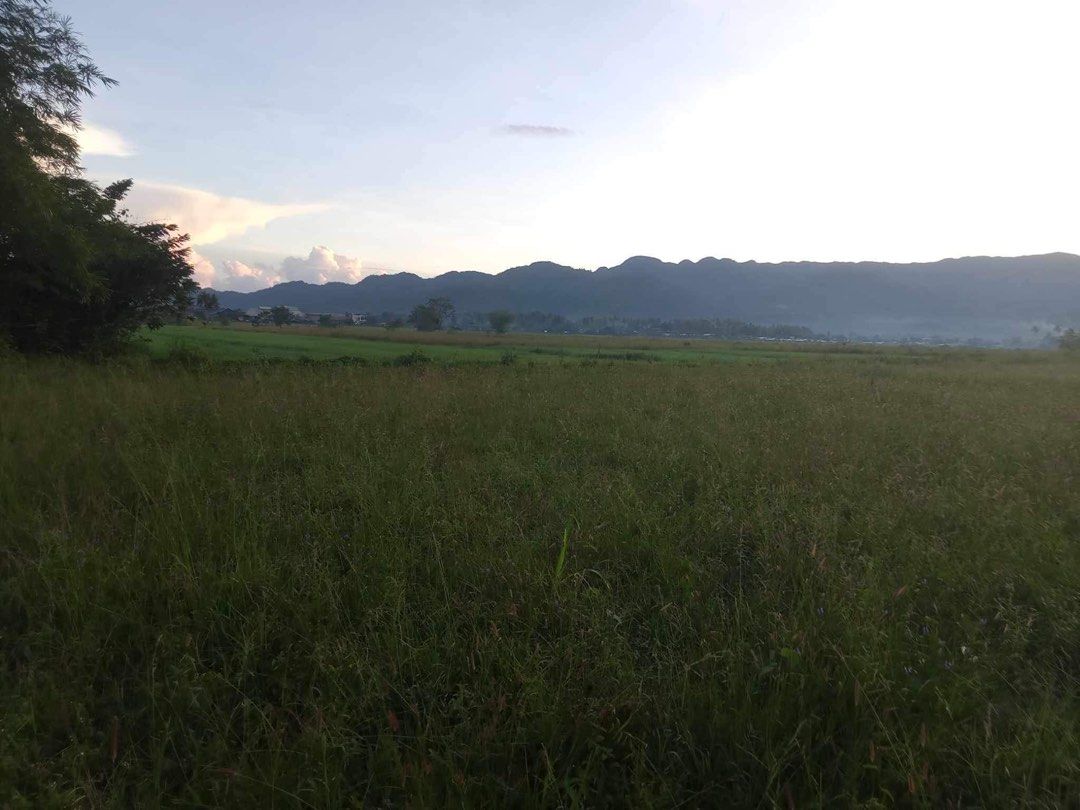 Farm Lot in Agusan Del Norte, Property, For Sale, Lot on Carousell