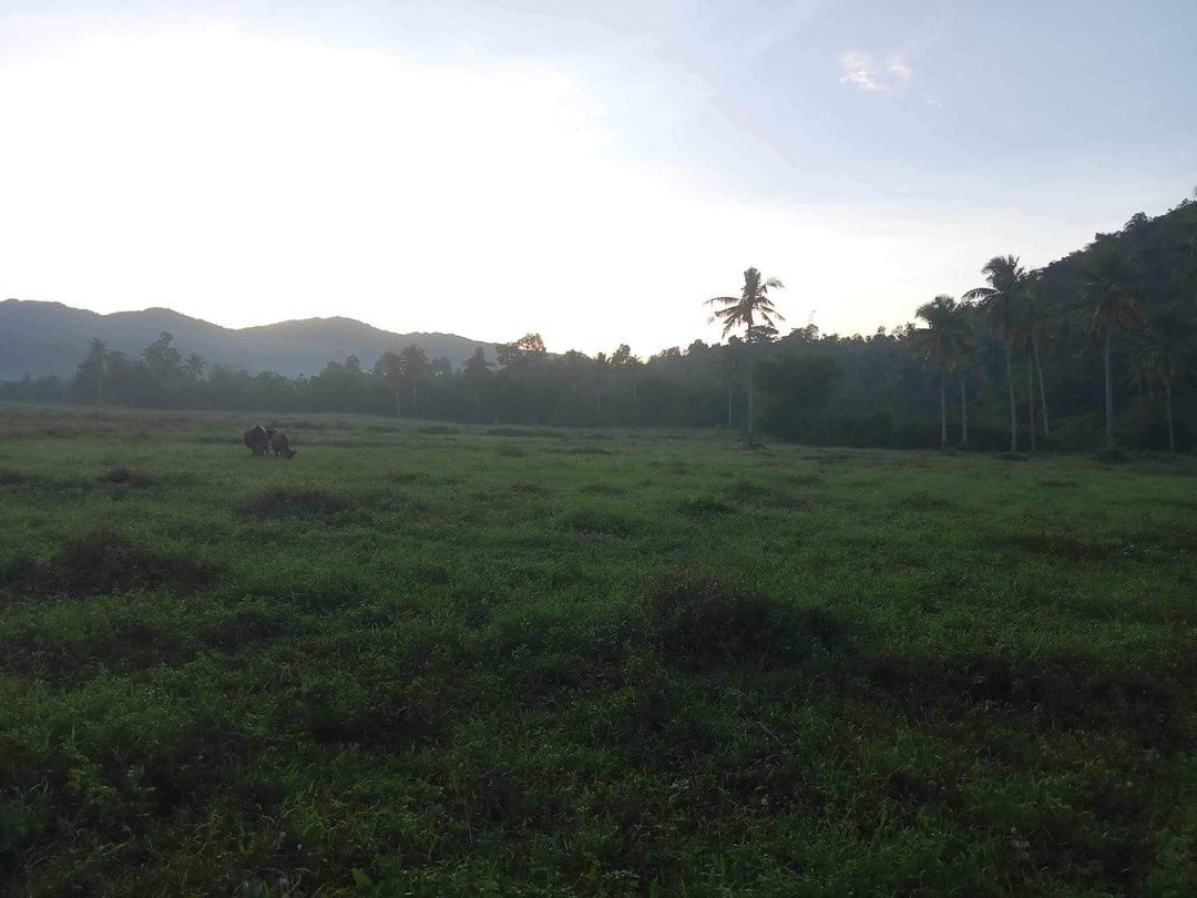 Farm Lot in Agusan Del Norte, Property, For Sale, Lot on Carousell
