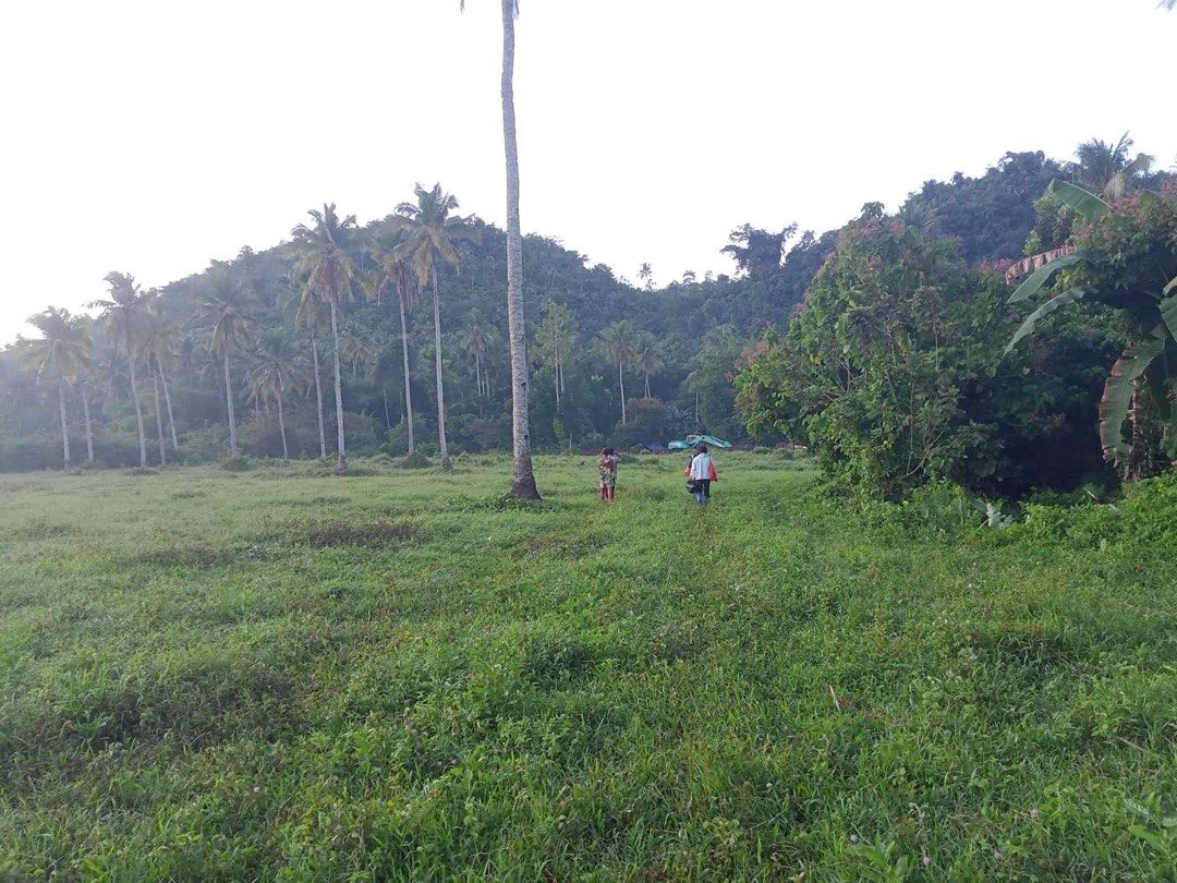 Farm Lot in Agusan Del Norte, Property, For Sale, Lot on Carousell