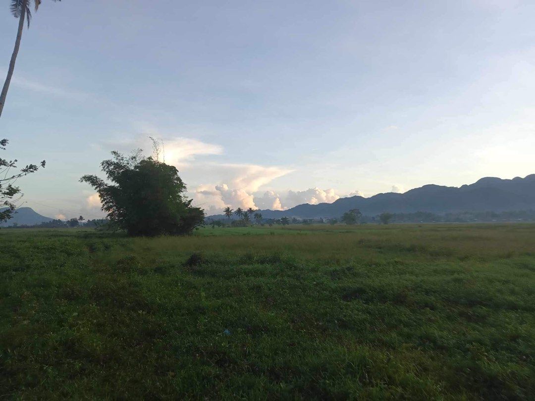 Farm Lot in Agusan Del Norte, Property, For Sale, Lot on Carousell