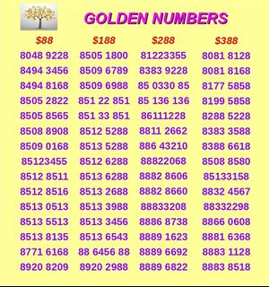 Golden Number Auspicious Number Lucky Number Power Number Fengshui ...