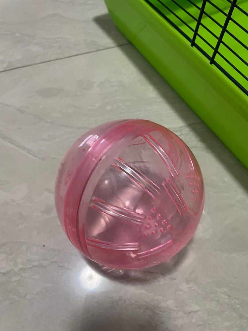 Image showcasing Hamster exercise ball, Pet Supplies, Homes & Other Pet Accessories on ...