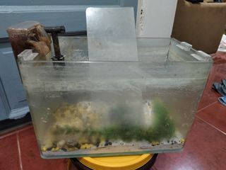 Mini Aquarium with cover 2.7 Gallon