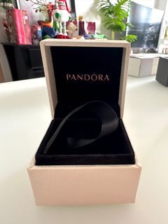 Pandora Bracelet Charm Box