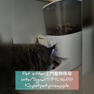 （分類：）位於 。 由 cph.shop 提交（商品編號 1279486456，圖片 1）。簡介： 。