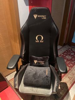 Secretlab OMEGA 2020, Furniture & Home Living, Furniture, Chairs on ...