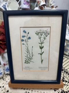 (Category: ) located in . Submitted by antiquevintage16 (Listing ID 1279733457, Image 1). Description: .