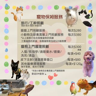 （分類：）位於 。 由 siusiuteam 提交（商品編號 1279878038，圖片 1）。簡介： 。