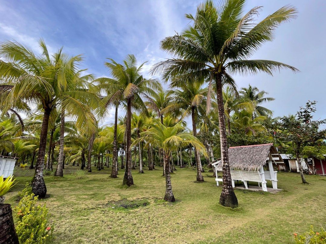 Beach Front Property Located in Brgy. Agojo, San Andres, Catanduanes