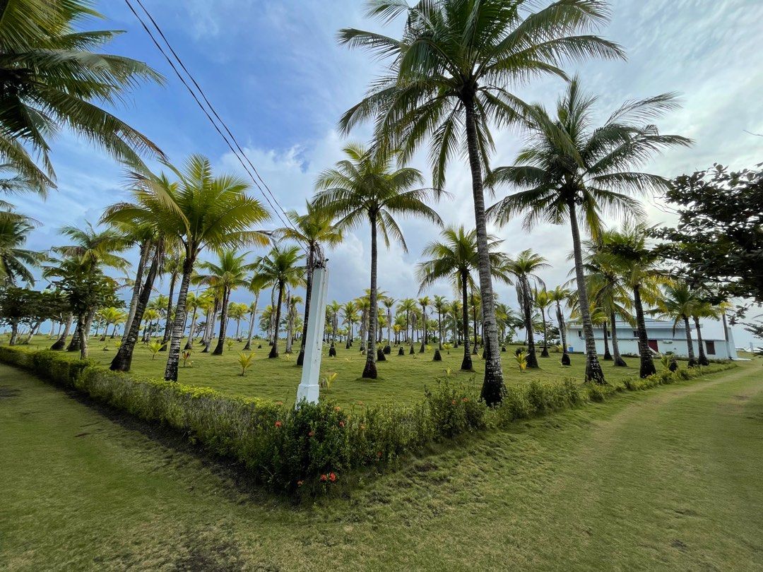 Beach Front Property Located in Brgy. Agojo, San Andres, Catanduanes