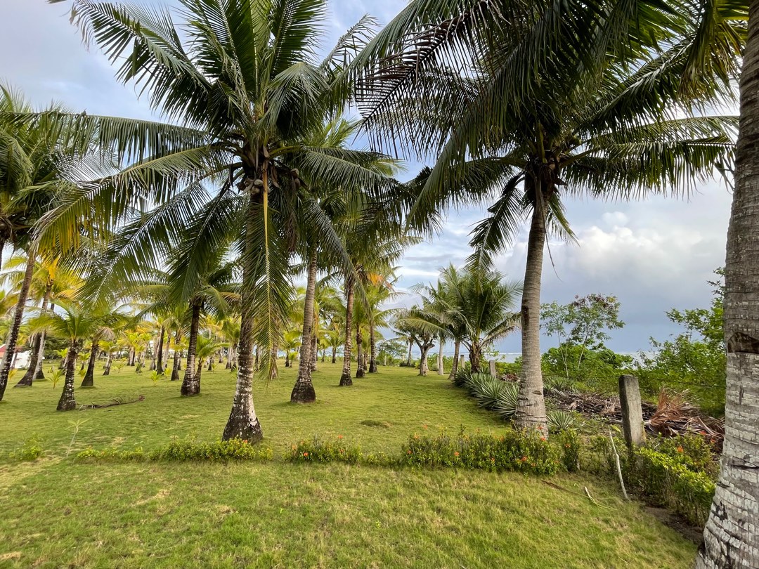 Beach Front Property Located in Brgy. Agojo, San Andres, Catanduanes