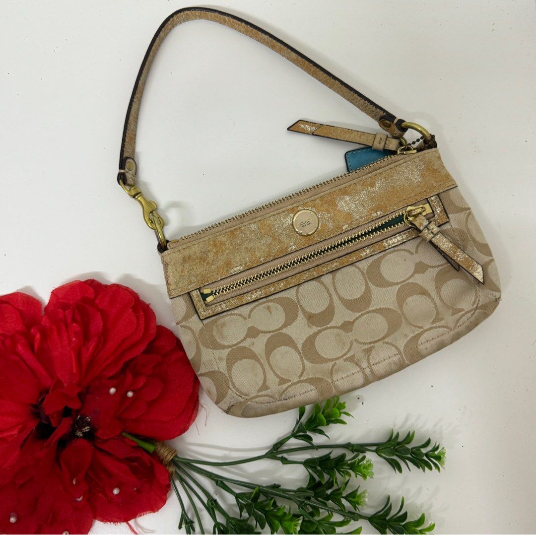 Coach best sale dinner bag