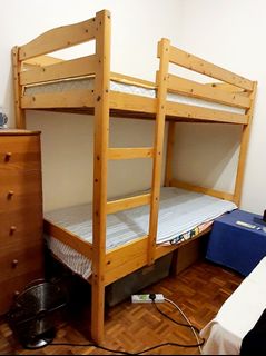 (Category: ) located in . Submitted by 12fruits (Listing ID 1279821815, Image 1). Description: .