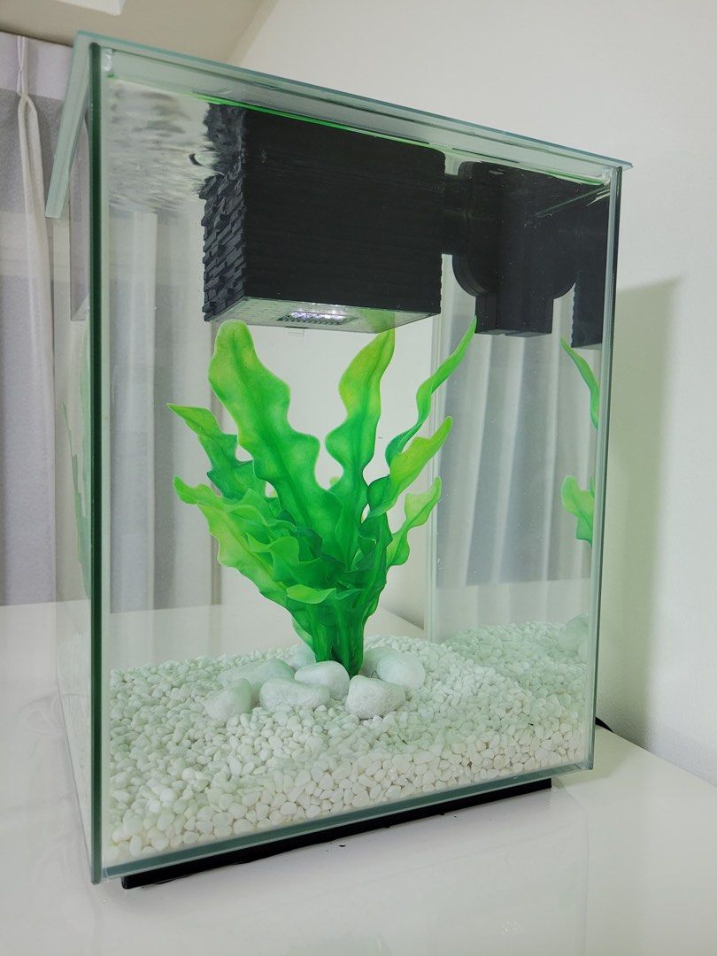 Fluval chi fish tank Pet Supplies Homes Other Pet Accessories