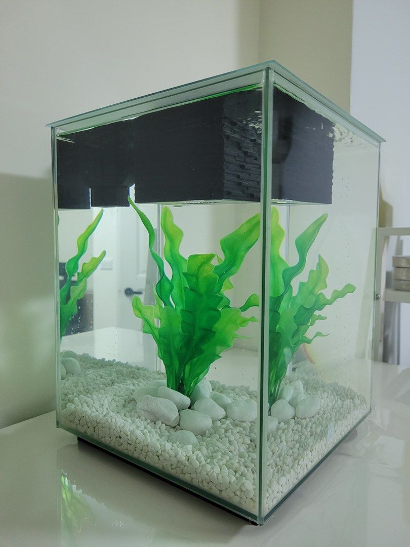 Fluval chi fish tank shop