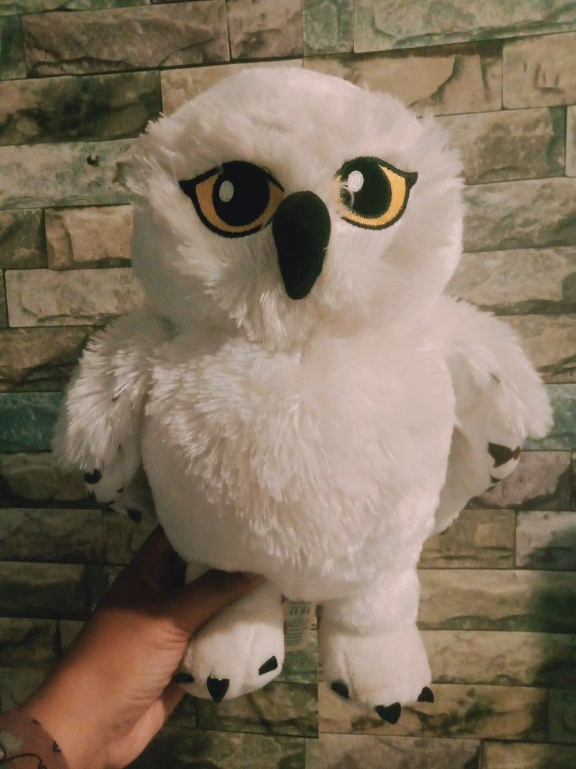 Hedwig deals teddy bear