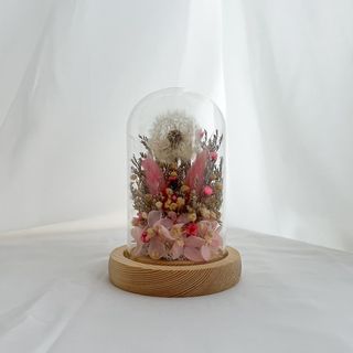 (Category: ) located in . Submitted by botanicalsbysandra (Listing ID 1279755975, Image 1). Description: .