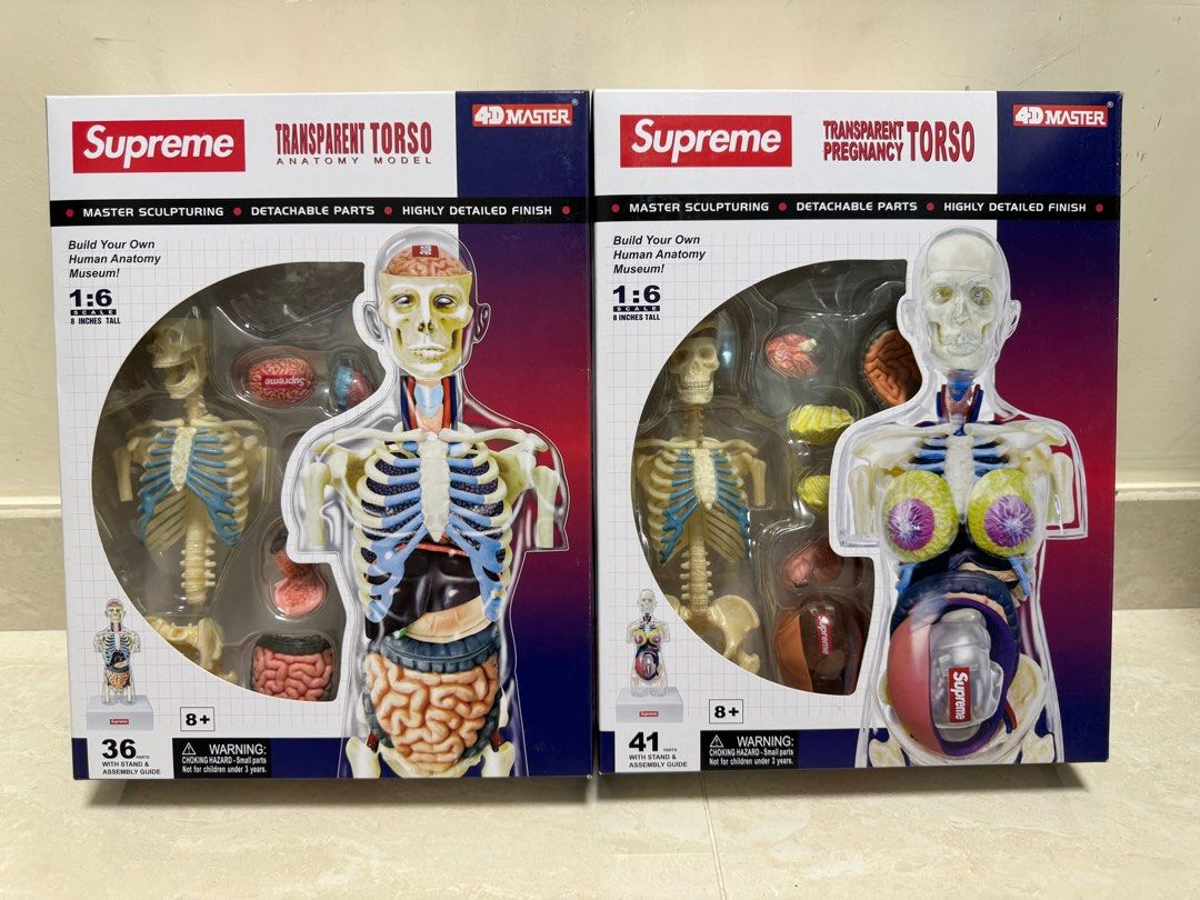 Supreme Anatomy Model Male& Female 1/6 人體模型