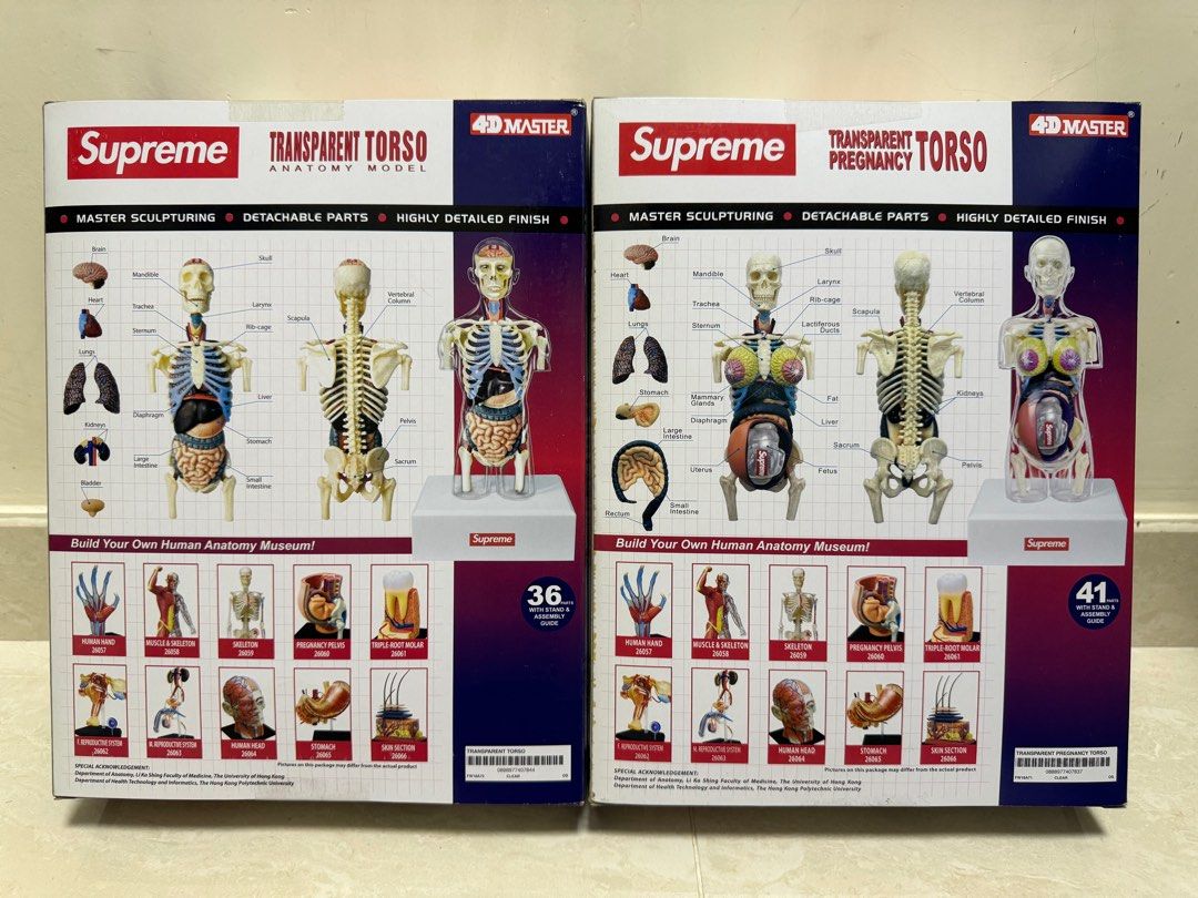 Supreme Anatomy Model Male& Female 1/6 人體模型