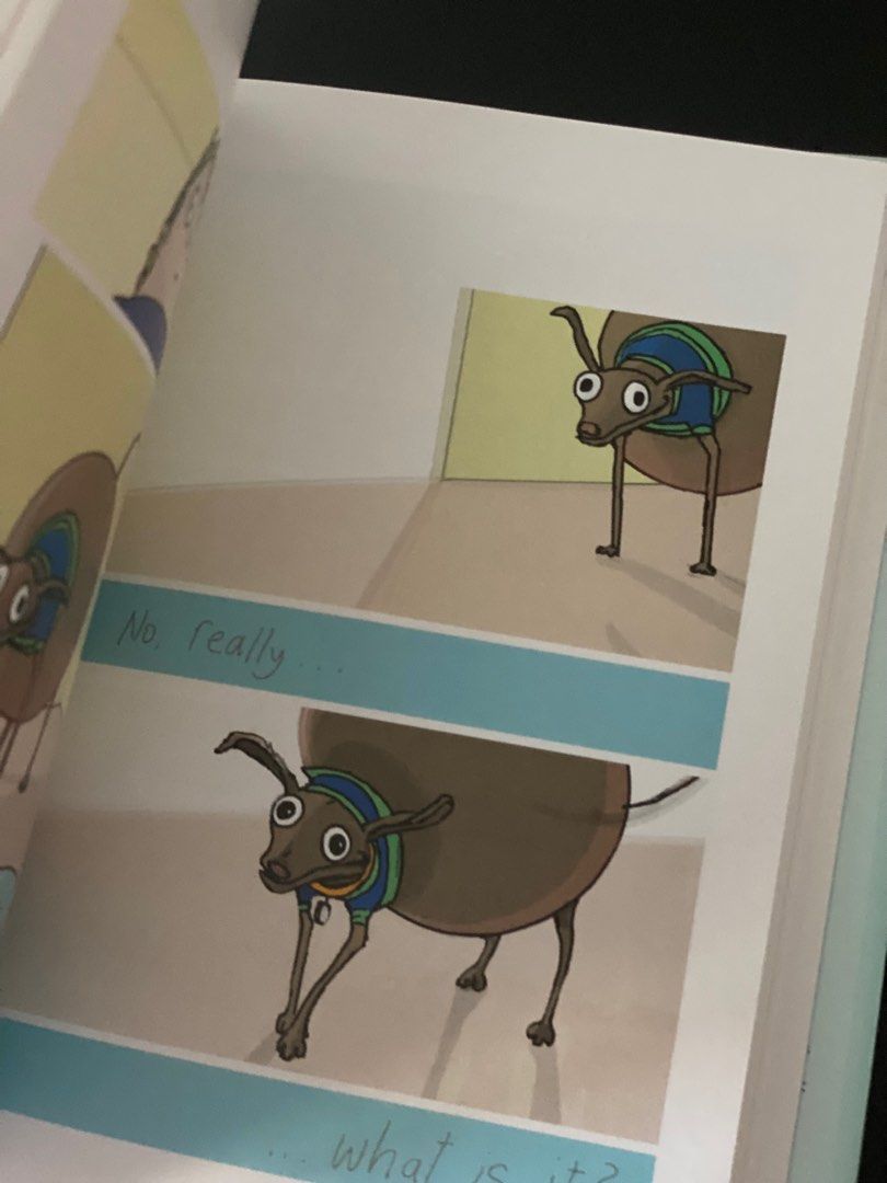 Allie Brosh Solutions and Other Problems Hobbies Toys Books