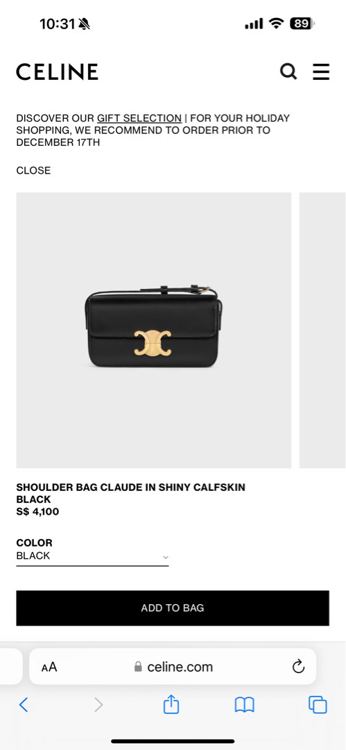 Celine hot sale side bag