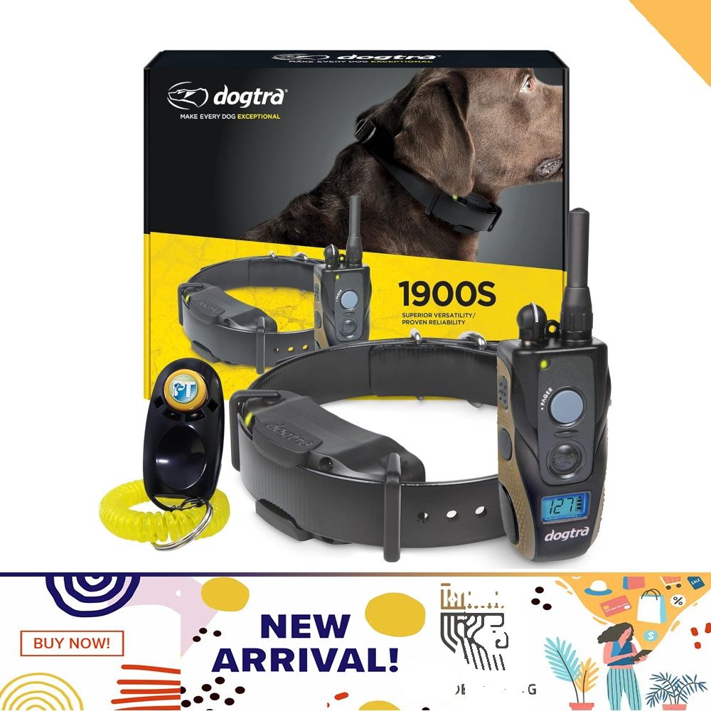 Dogtra 3 hotsell dog system